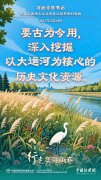 行走美丽画卷｜大运河：从“漕运生命线”到“生态文化带”